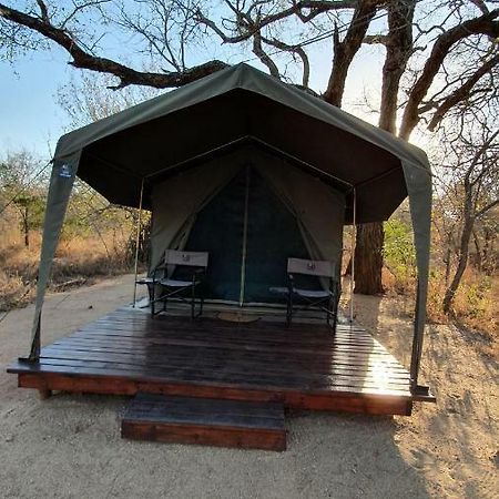 Mzsingitana Tented Camp Hotel Hoedspruit Kültér fotó