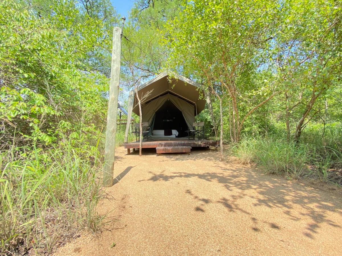 Mzsingitana Tented Camp Hotel Hoedspruit Kültér fotó