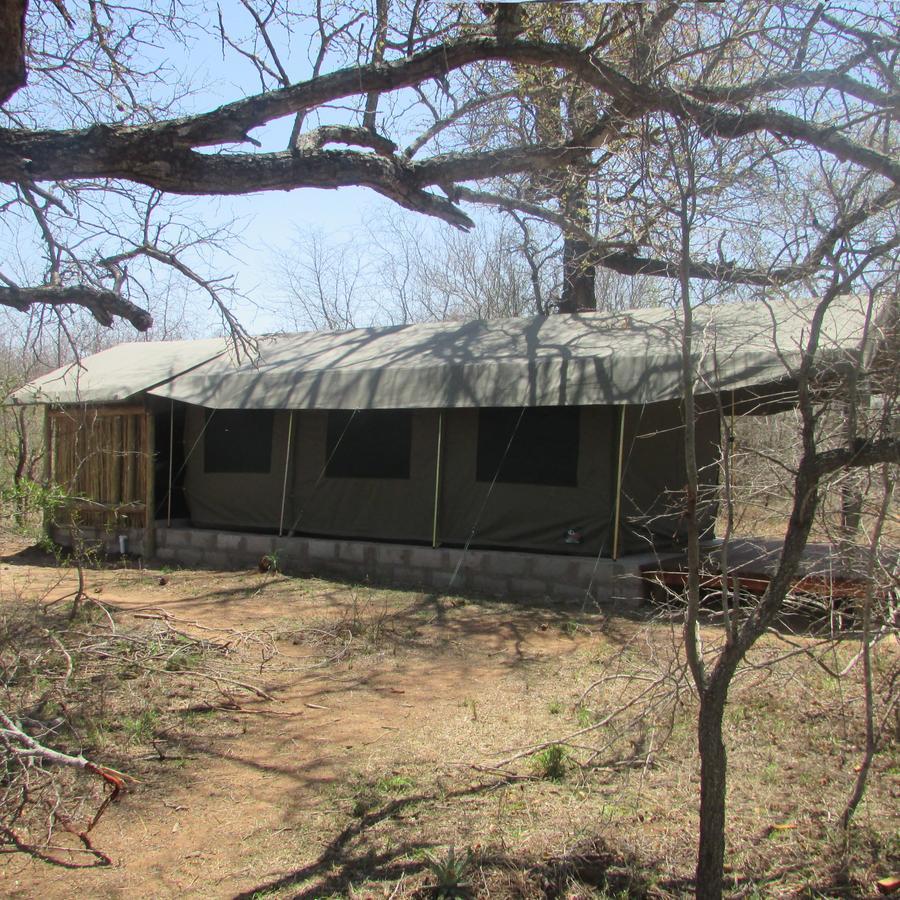 Mzsingitana Tented Camp Hotel Hoedspruit Kültér fotó