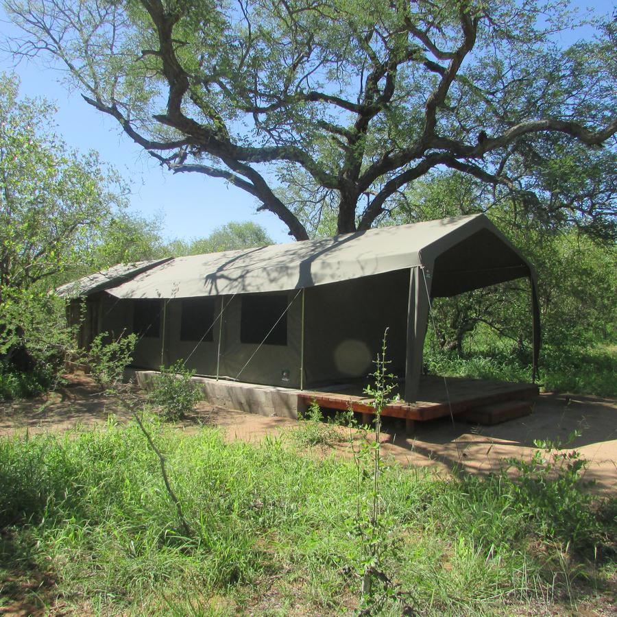 Mzsingitana Tented Camp Hotel Hoedspruit Kültér fotó