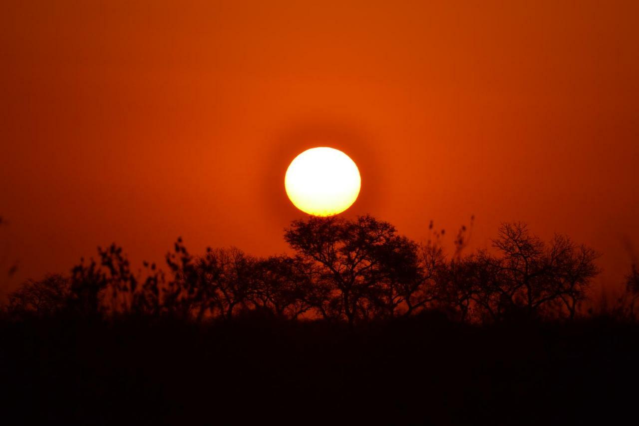 Mzsingitana Tented Camp Hotel Hoedspruit Kültér fotó