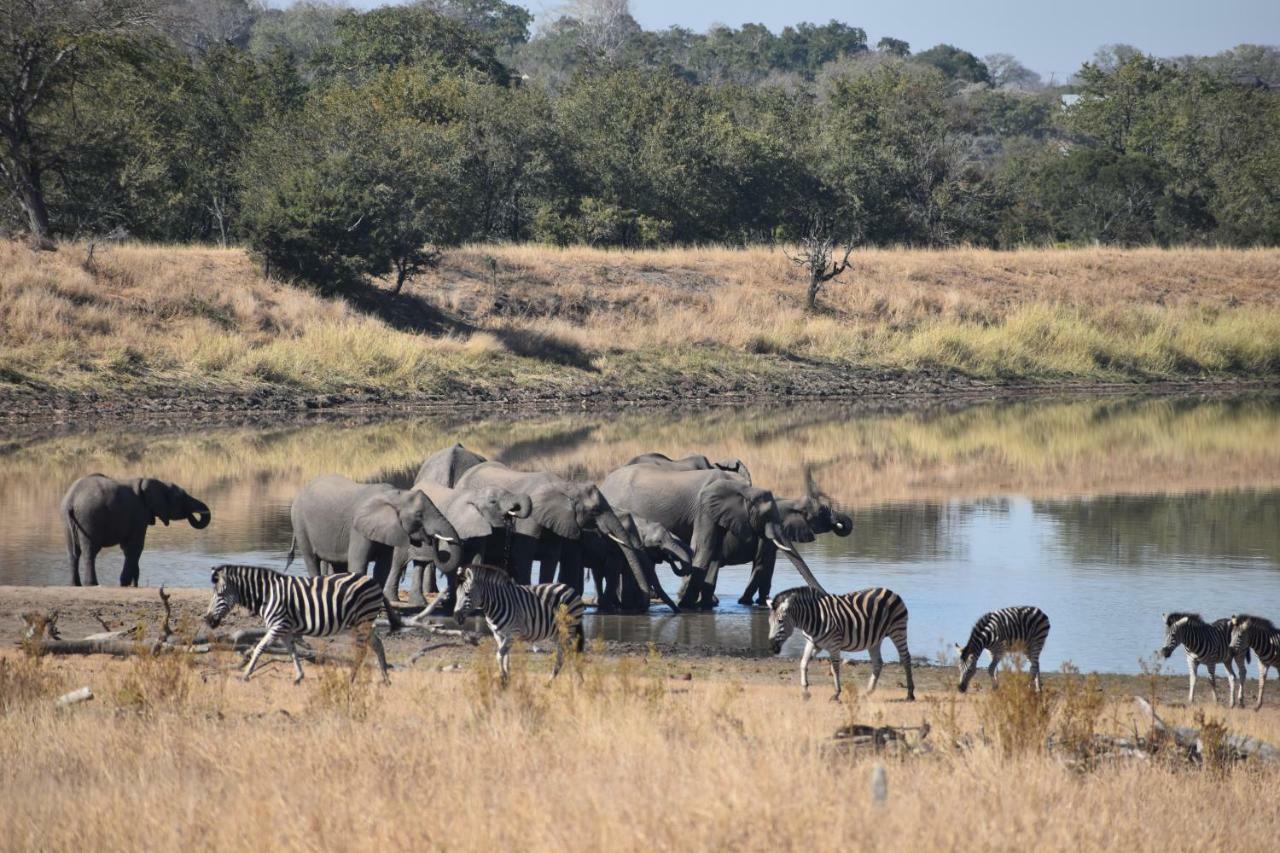 Mzsingitana Tented Camp Hotel Hoedspruit Kültér fotó