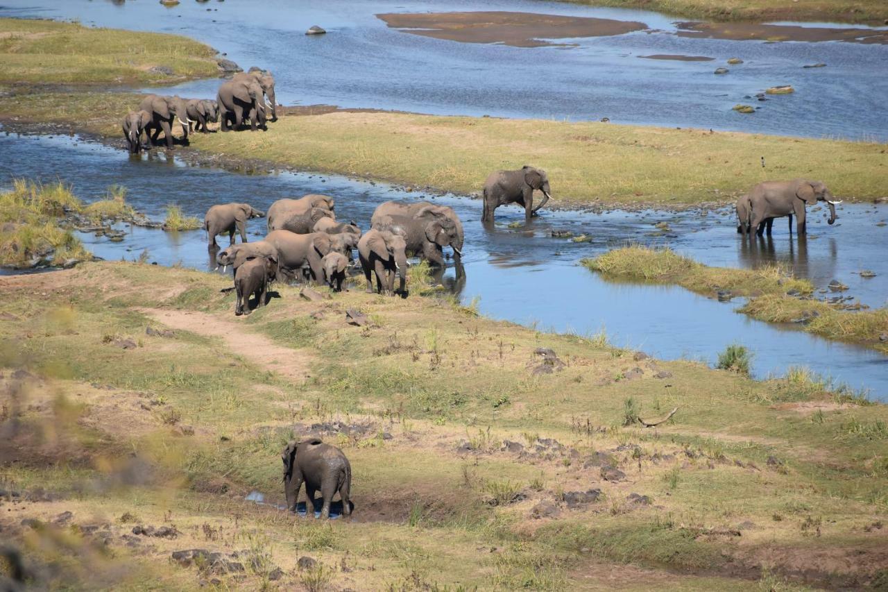 Mzsingitana Tented Camp Hotel Hoedspruit Kültér fotó