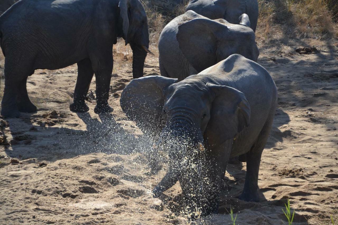 Mzsingitana Tented Camp Hotel Hoedspruit Kültér fotó