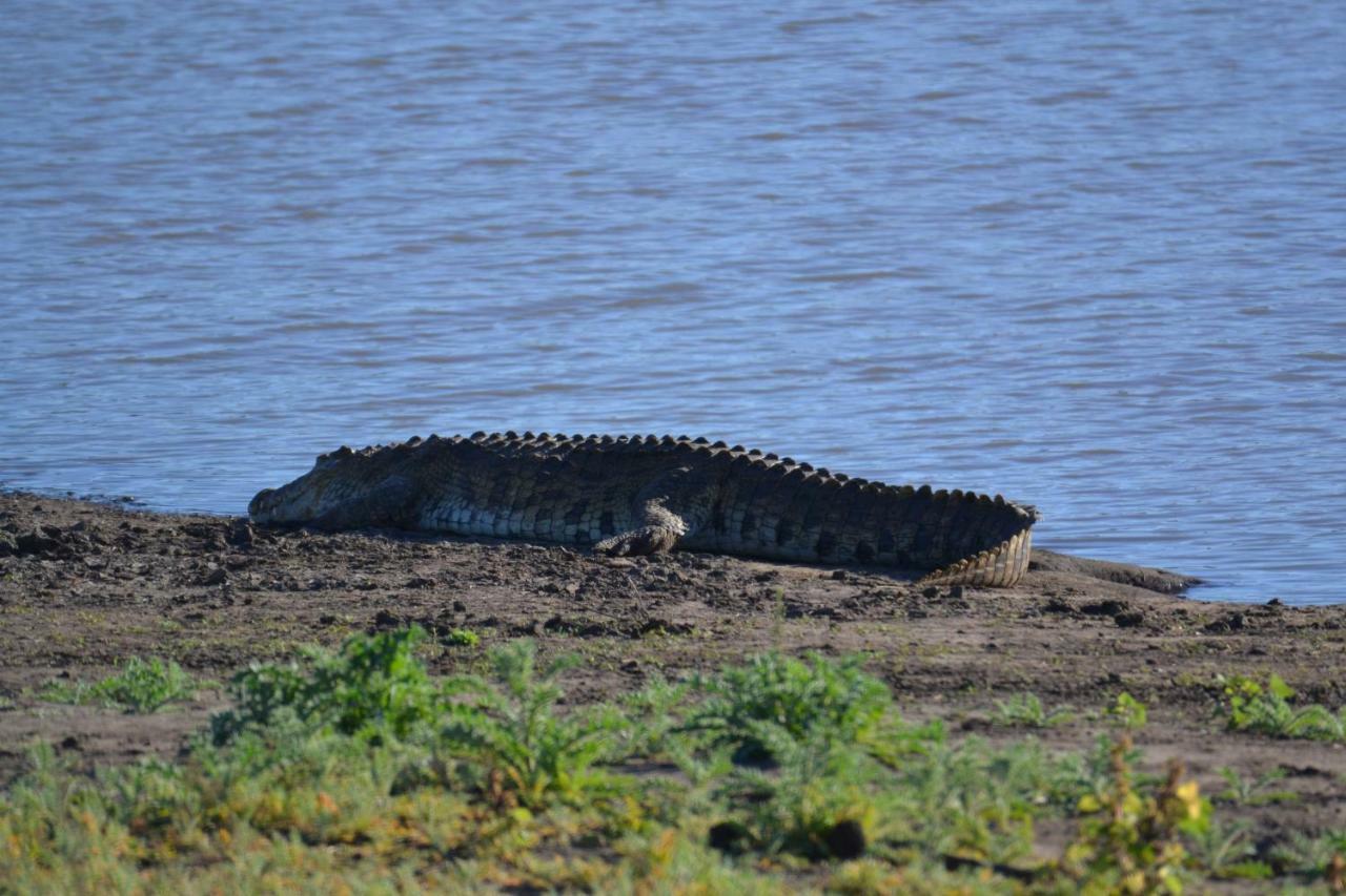 Mzsingitana Tented Camp Hotel Hoedspruit Kültér fotó