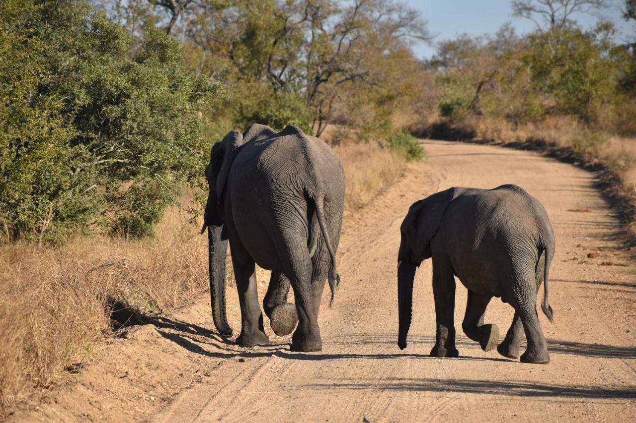 Mzsingitana Tented Camp Hotel Hoedspruit Kültér fotó