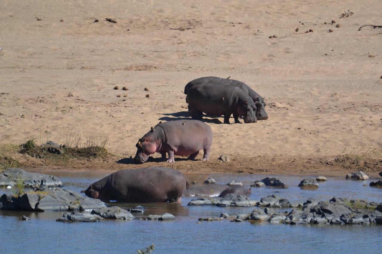 Mzsingitana Tented Camp Hotel Hoedspruit Kültér fotó