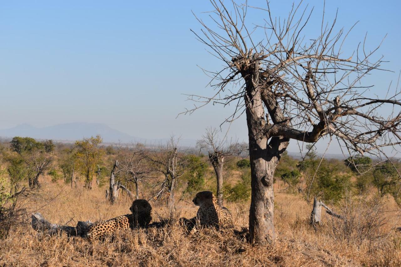 Mzsingitana Tented Camp Hotel Hoedspruit Kültér fotó