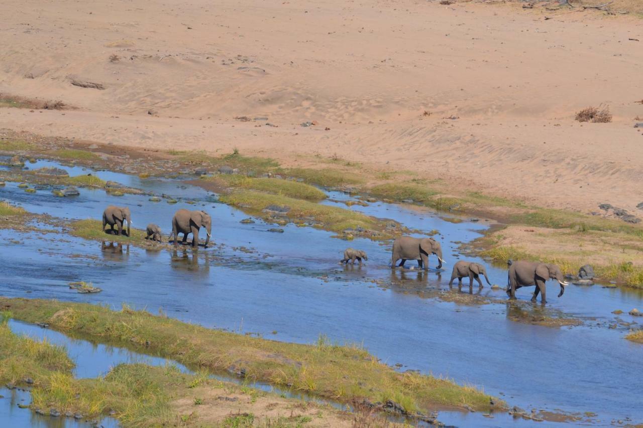 Mzsingitana Tented Camp Hotel Hoedspruit Kültér fotó