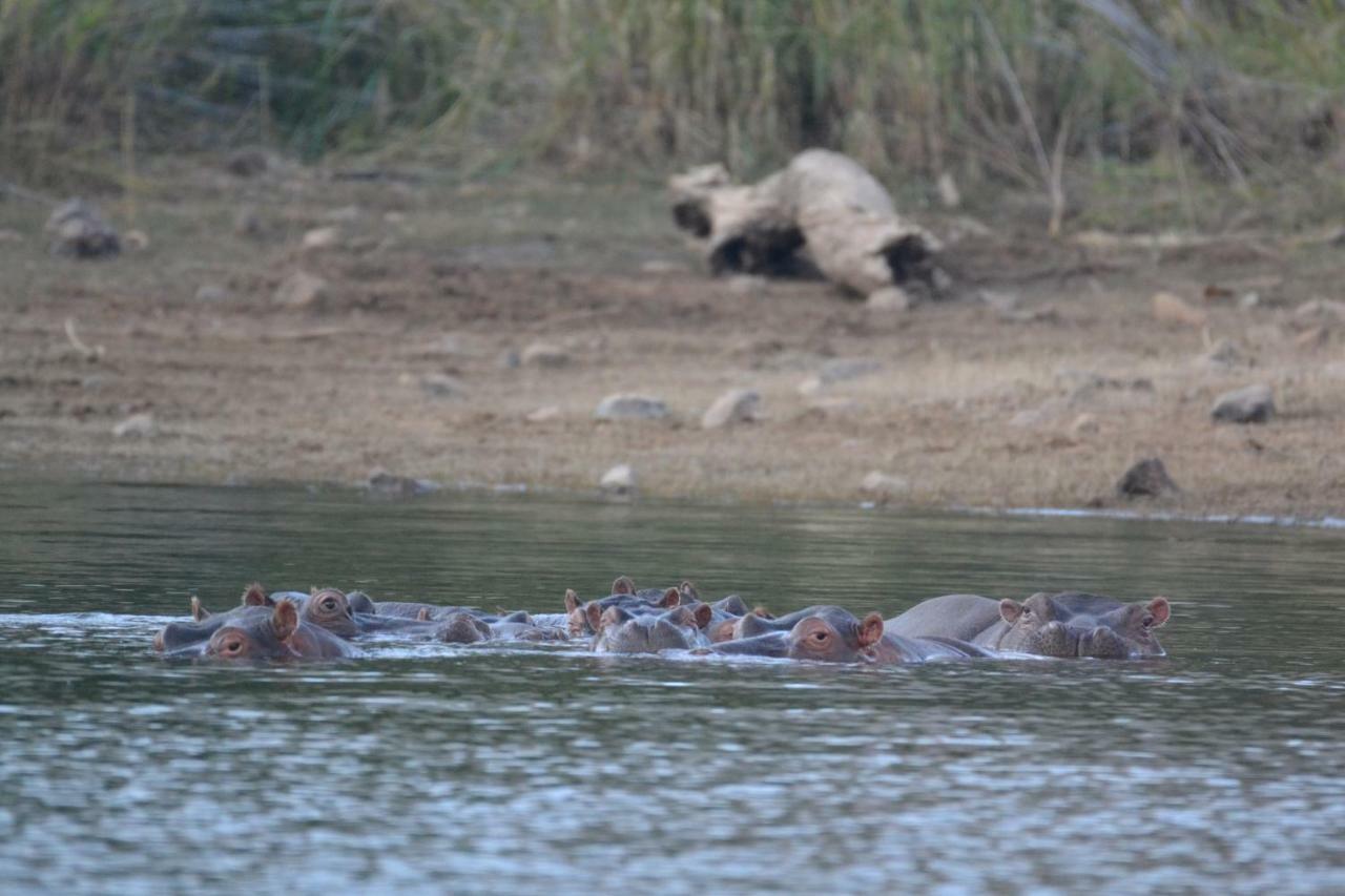 Mzsingitana Tented Camp Hotel Hoedspruit Kültér fotó