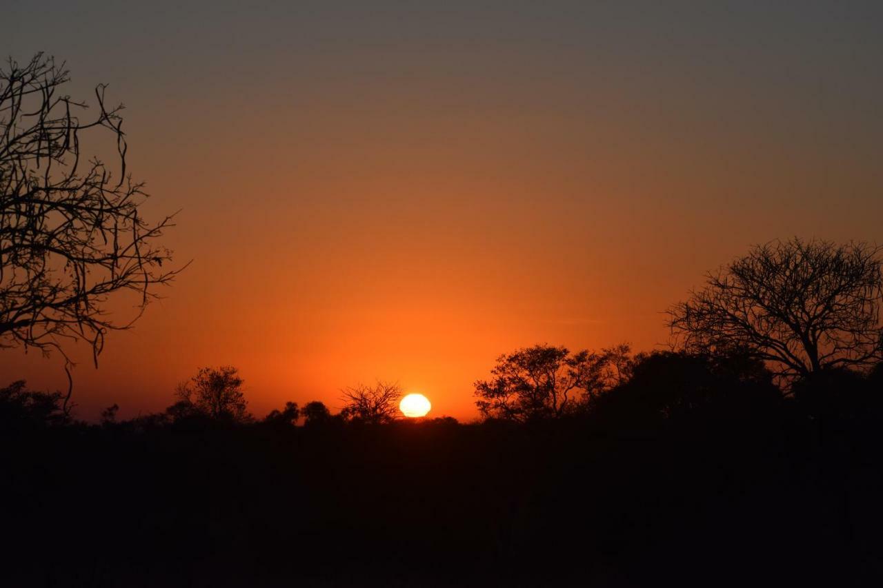 Mzsingitana Tented Camp Hotel Hoedspruit Kültér fotó